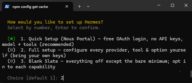 Wizard iniziale di Hermes Agent con le opzioni Quick Setup, Full setup e Blank State