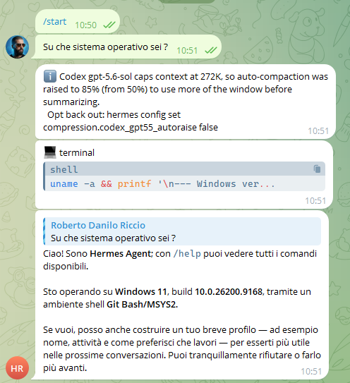 Prima conversazione completa con Hermes Agent su Telegram e risposta sul sistema operativo